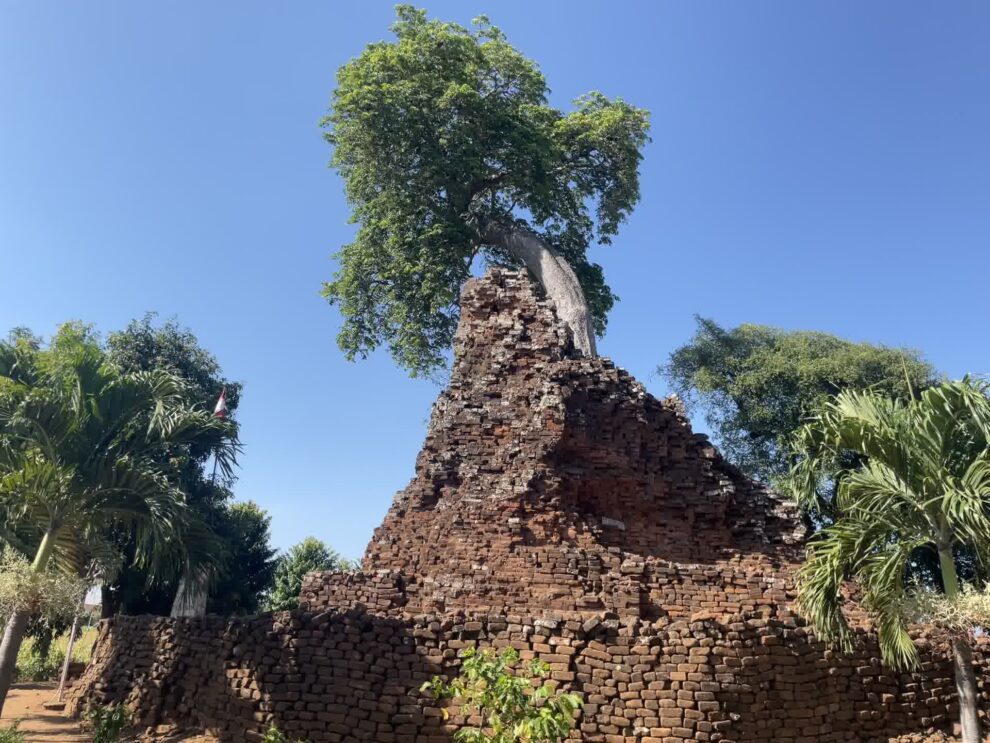 
					Foto Candi Sri Jayamrta (Candilor)