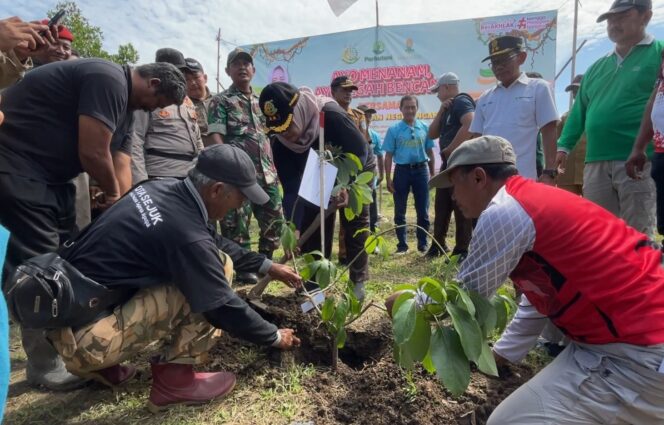 
					Foto. Kajari Nganjuk, Ika Mauluddhina, S.H., M.H bersama puluhan komunitas peduli lingkungan melakukan kegiatan menanam di lahan Perhutani KPH JOmbang