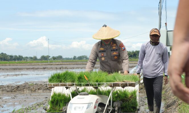 
					Kapolres Nganjuk, AKBP Henri Noveri Santoso, S.H., S.I.K., M.M mempraktikkan metode  Rice Transplanter  (foto_doc)