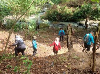Kawasan Hutan Lindung Sungai Codes, Desa Tritik, Kecamatan Rejoso, lahannya disemprot zat berbahaya sebabkan tanaman kecil mati (foto_doc)