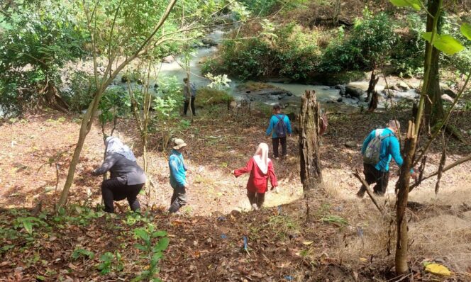 
					Kawasan Hutan Lindung Sungai Codes, Desa Tritik, Kecamatan Rejoso, lahannya disemprot zat berbahaya sebabkan tanaman kecil mati (foto_doc)