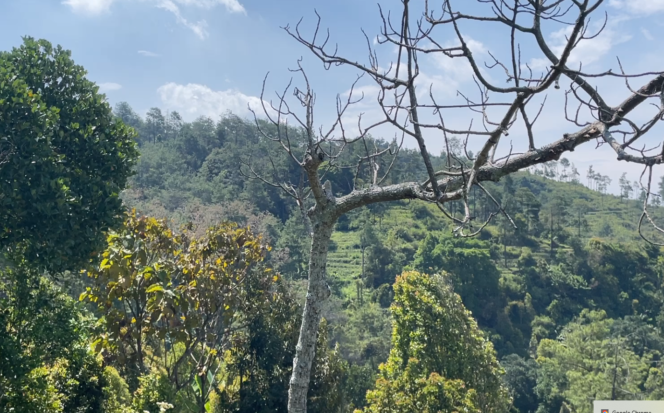 
					Lereng Gunung Wilis (Foto_doc.anjukzone.id)