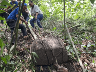Proses ekskavasi Temuan Sarkopagus dari dasar sungai Hutan Tritik Rejoso (foto_Sukadi)