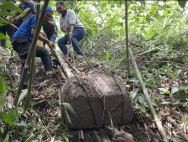 Proses ekskavasi Temuan Sarkopagus dari dasar sungai Hutan Tritik Rejoso (foto_Sukadi)